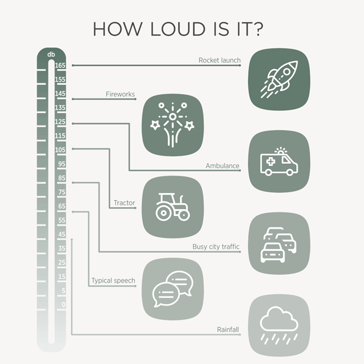 The human hearing range - from birdsong to loud sounds
